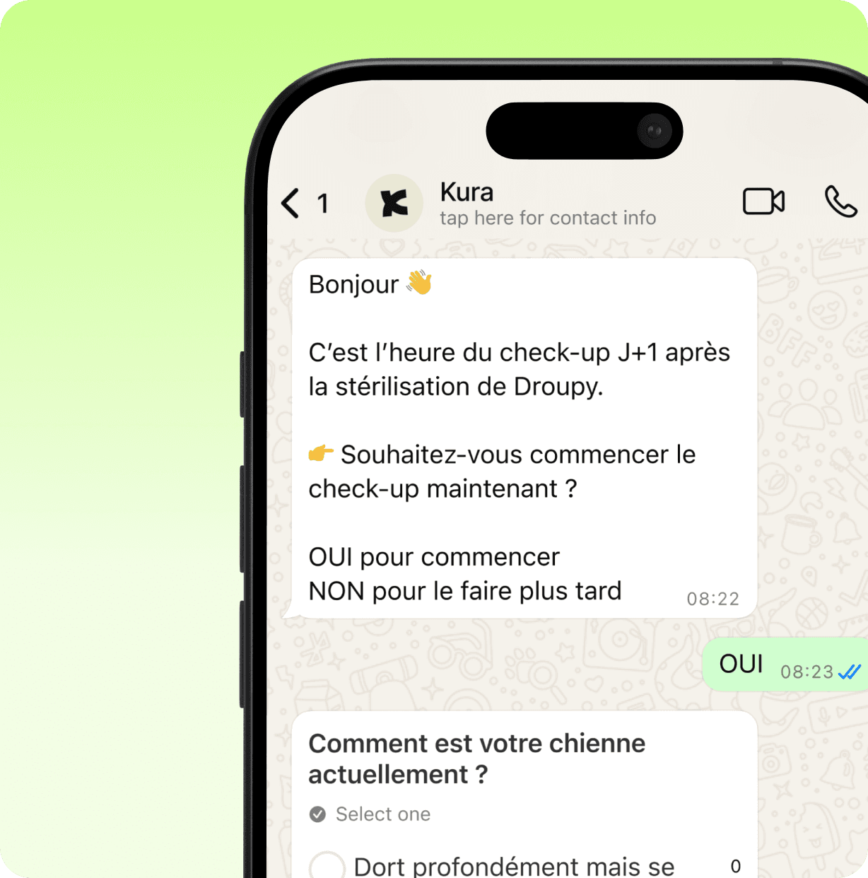 Kura WhatsApp check-up conversation